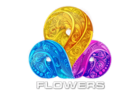 Channel 5 Logo